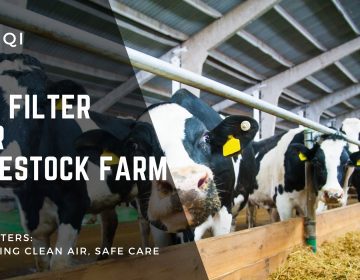 Chuqi Air Filter | air filter for livestock farm