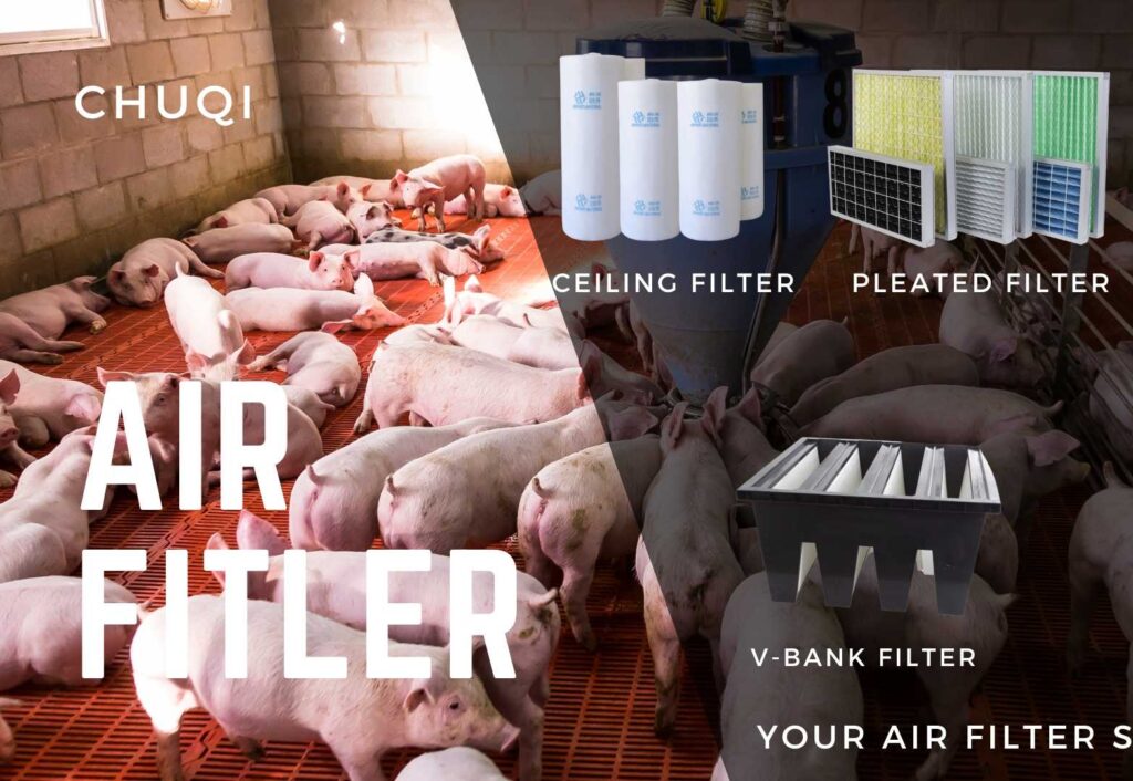 Chuqi Air Filter | Why Do Pig Farms Need Air Filters?Pig Farms Air Filters